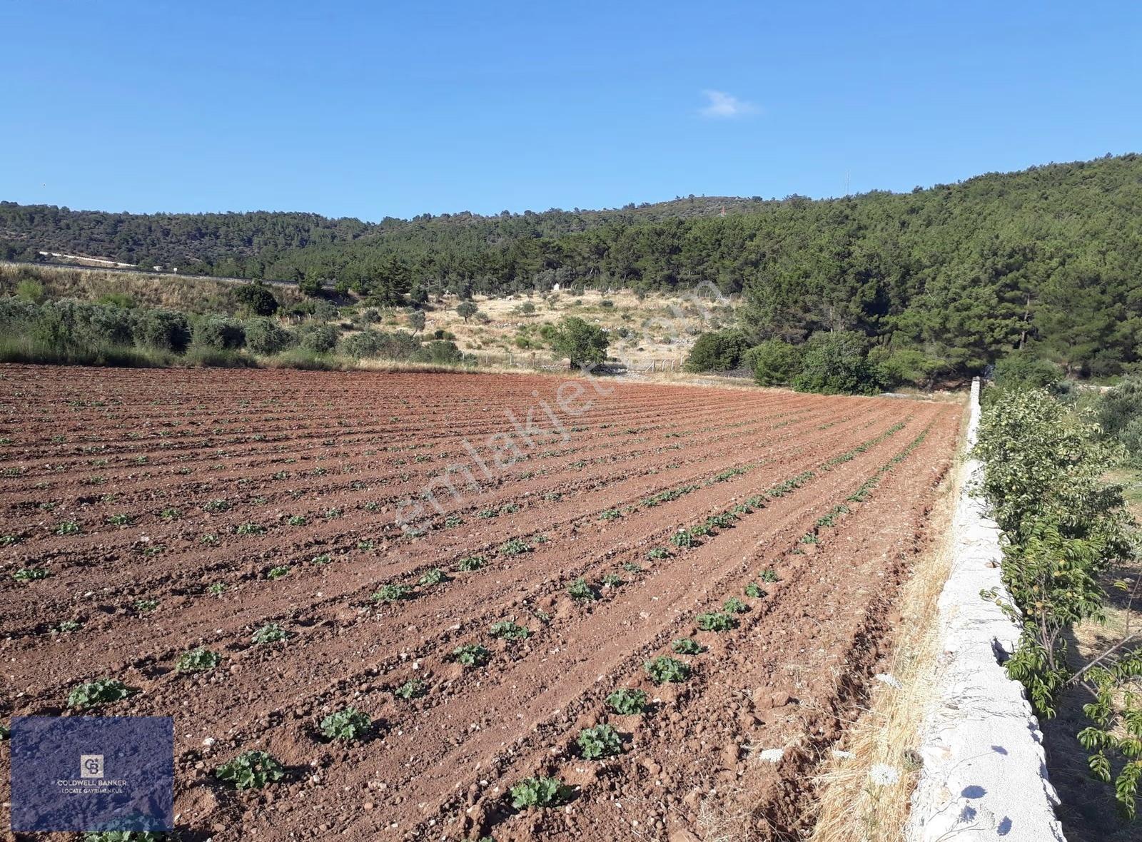 Eski Çeşme Yolu'nda Doğaya Yatırım, Huzura Komşuluk - Görsel 4