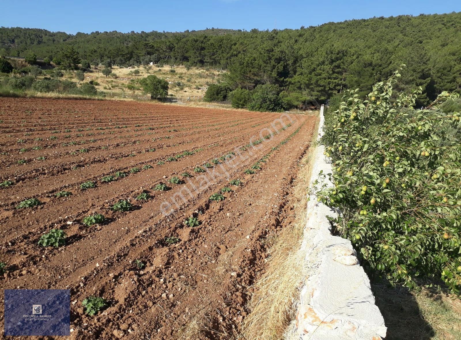 Eski Çeşme Yolu'nda Doğaya Yatırım, Huzura Komşuluk - Görsel 3