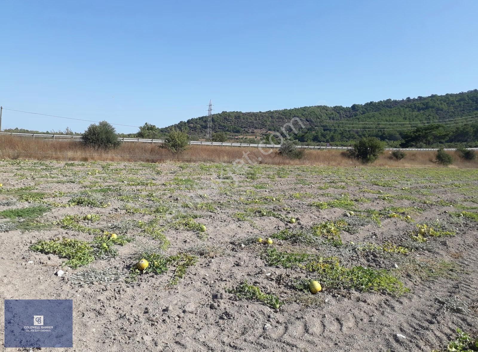 Eski Çeşme Yolu'nda Doğaya Yatırım, Huzura Komşuluk - Görsel 10