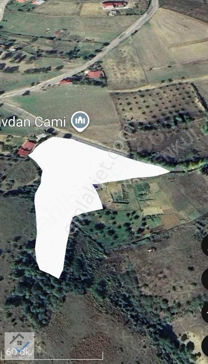 Şehrin Yanıbaşında Doğayla İç İçe Fırsat Tarla - Görsel 3