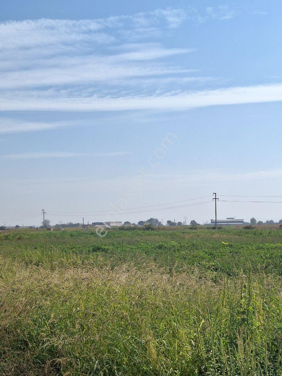 Karacabey Canbalı Da Satılık Yatırımlık Arazi - Görsel 2
