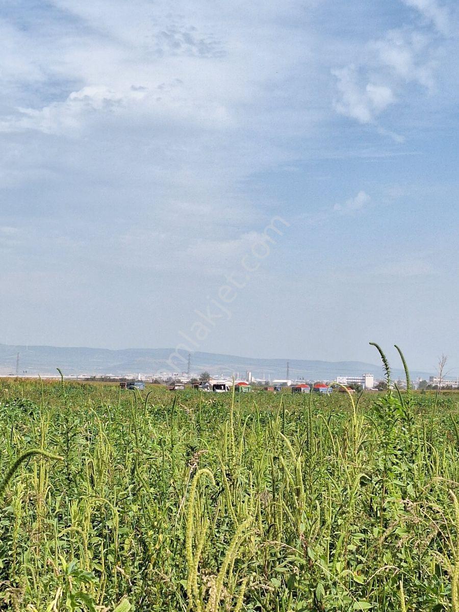Karacabey Canbalı Da Satılık Yatırımlık Arazi - Görsel 12
