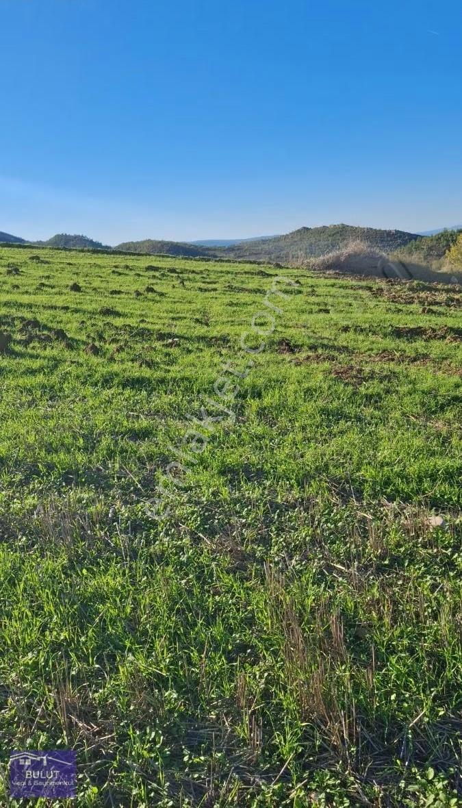 Osmaneli Medetli Köyü 1.850m2 Resmi Yolu Mevcut.mustakil Parsel. - Görsel 3