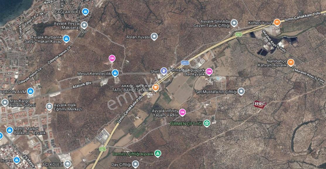 Route 10 Gayrimenkul'den Ayvalık'ta Satılık Zeytinlik - Görsel 2