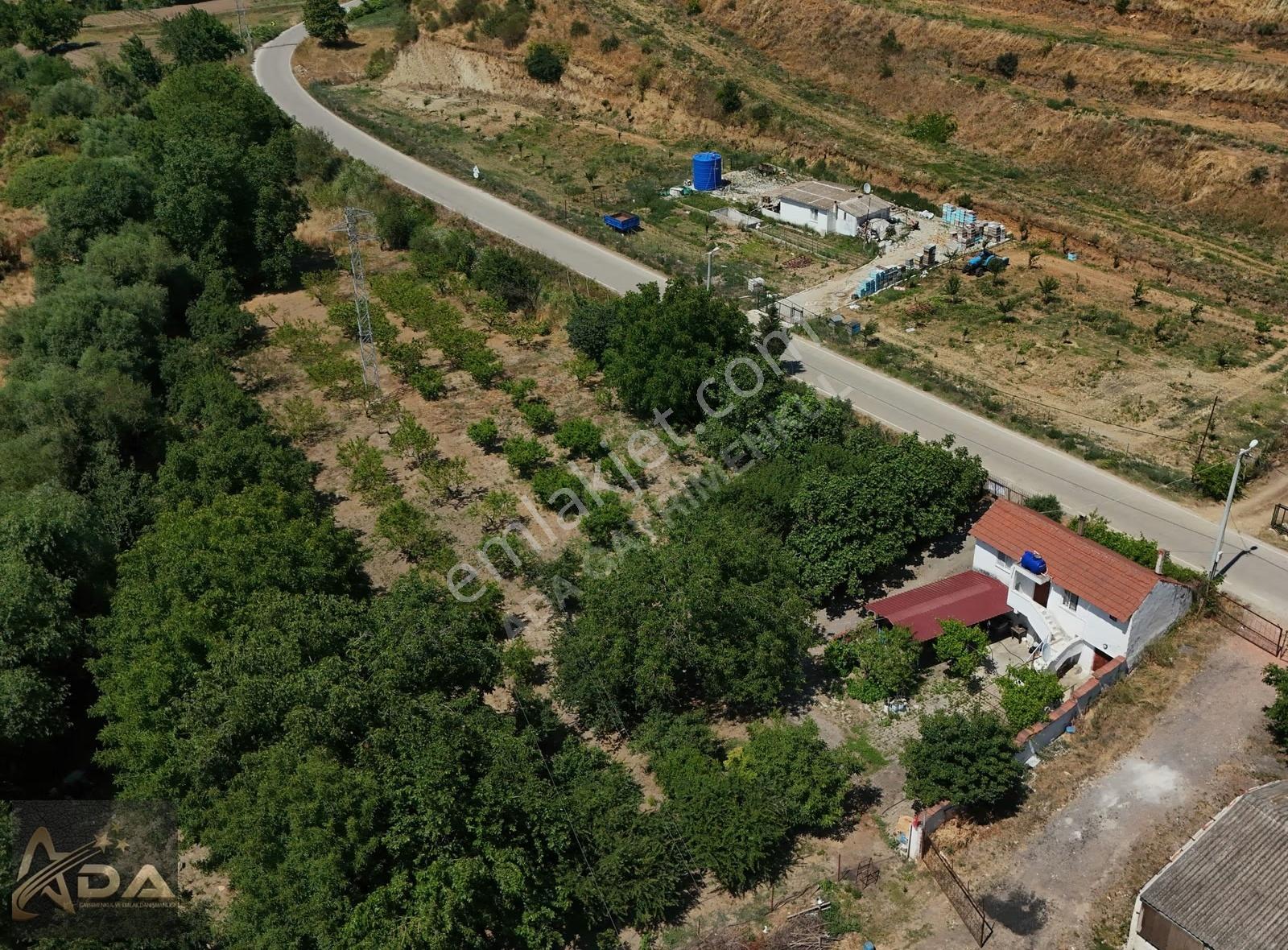 Ada Gayrimenkul'den Susurluk Buzağlıkta Bağ-bahçe - Görsel 13