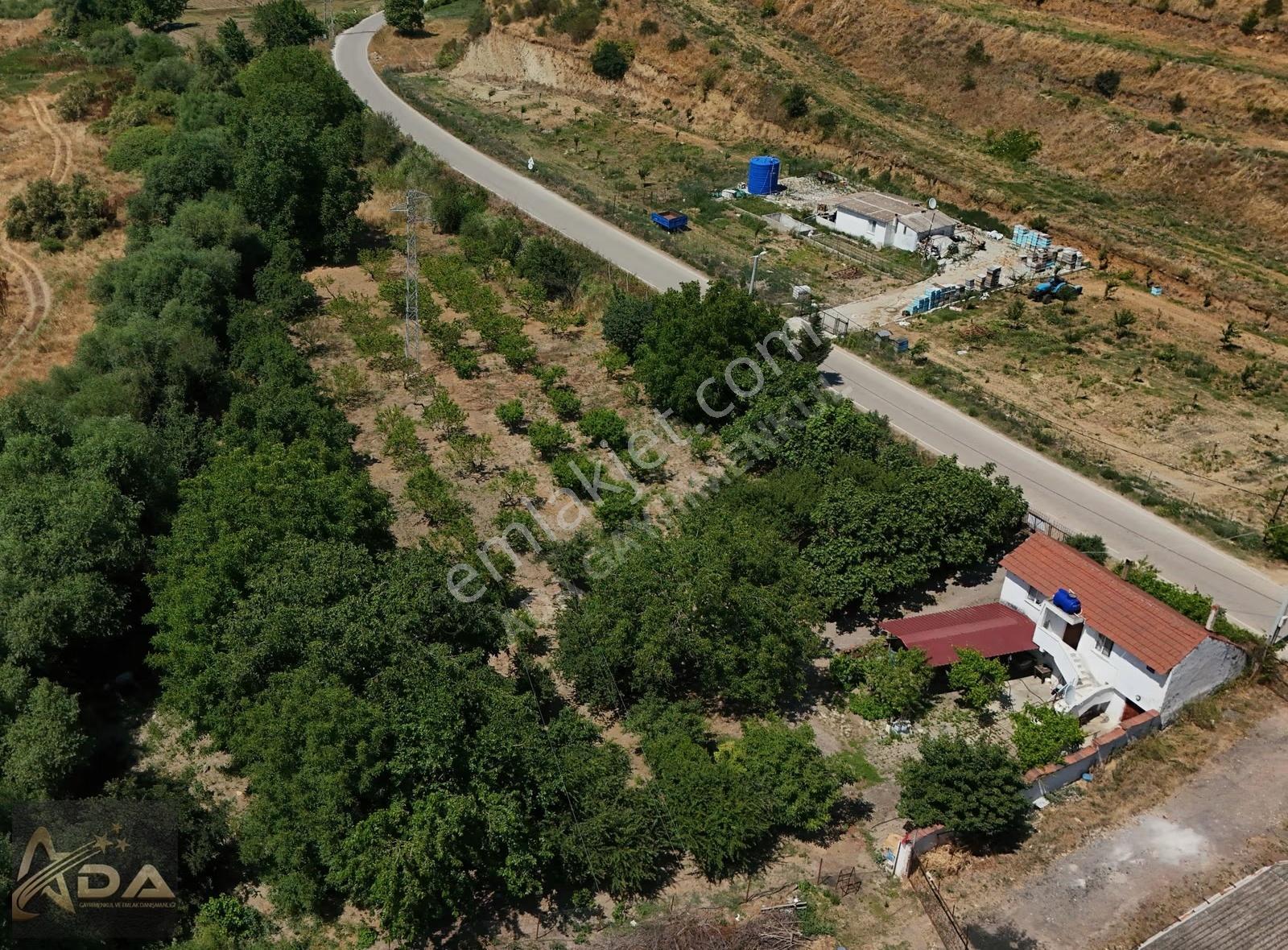Ada Gayrimenkul'den Susurluk Buzağlıkta Bağ-bahçe - Görsel 6
