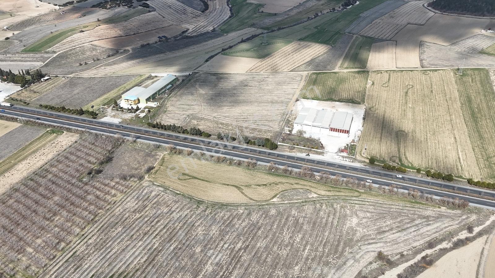 C21 Loft'tan Bozkurt Alikurt'da Anayol Cepheli Satılık Tarla. - Görsel 6