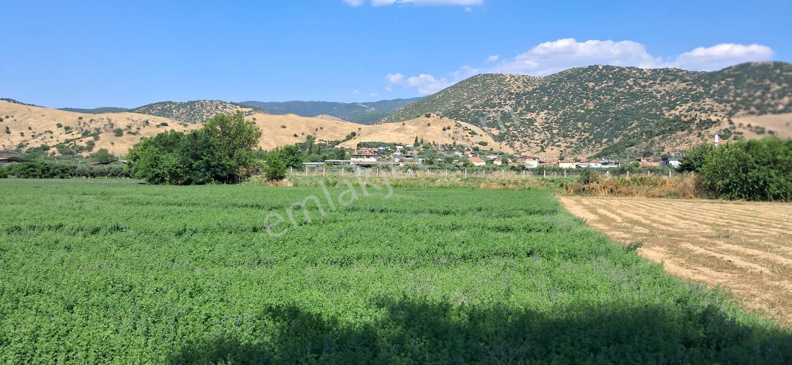 Aydın Nazilli Esenköy(arpaz) De Satılık Tarla - Görsel 20