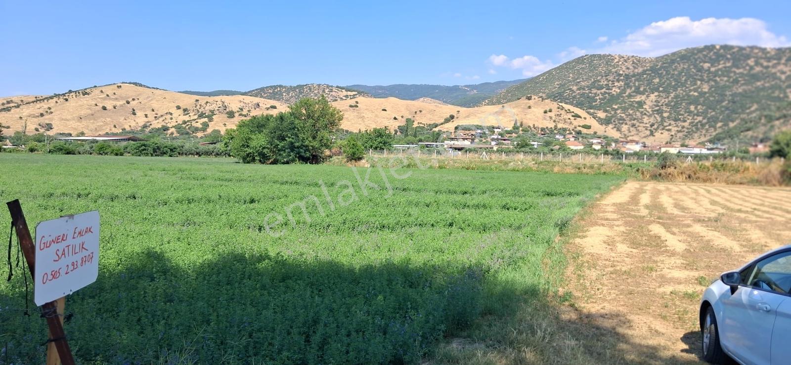 Aydın Nazilli Esenköy(arpaz) De Satılık Tarla - Görsel 26