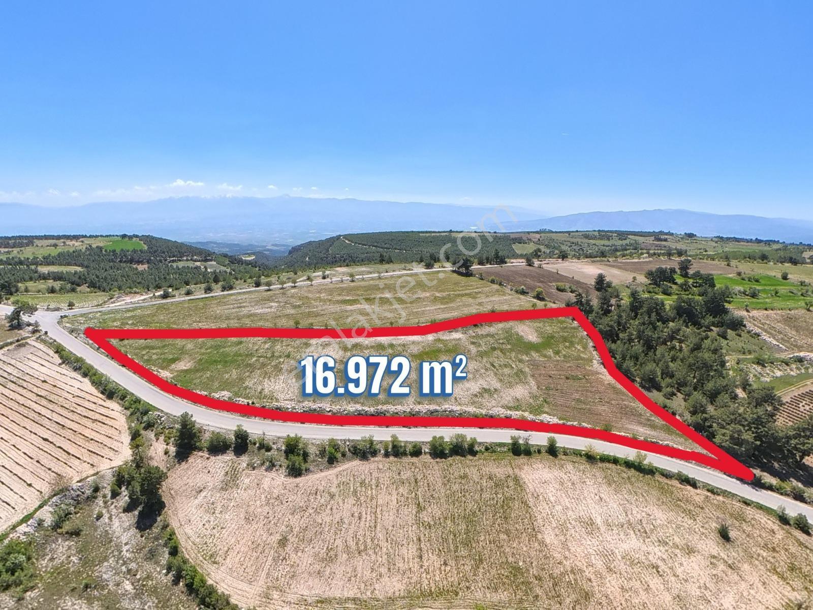 C21 Loft'tan Pamukkale Akçapınar'da 16.972m² Satılık Tarla - Görsel 2