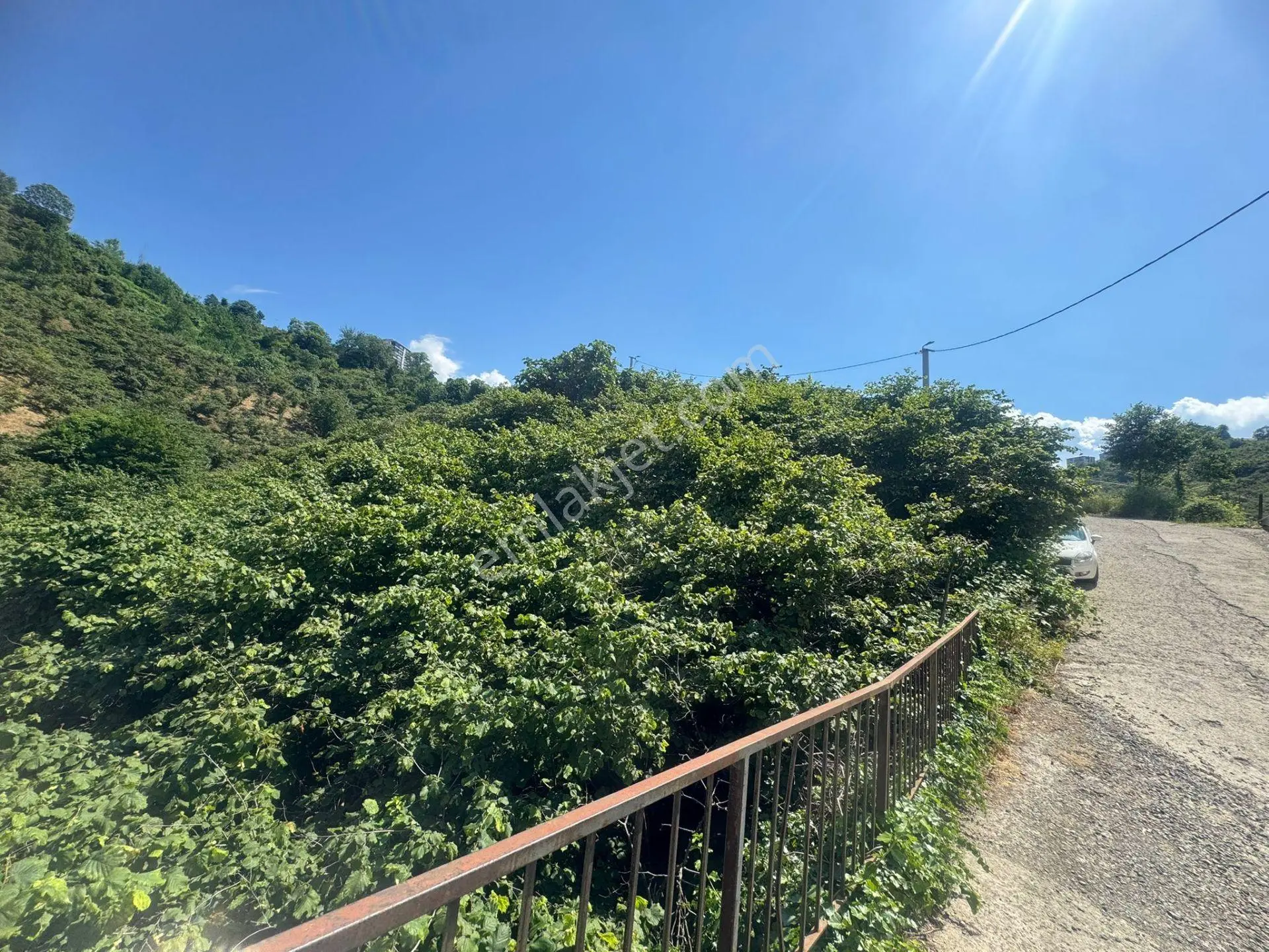 İnanç Emlaktan Giresun Kavaklarda Satılık 562 M2 İmarlı Köşe Arsa - Görsel 2
