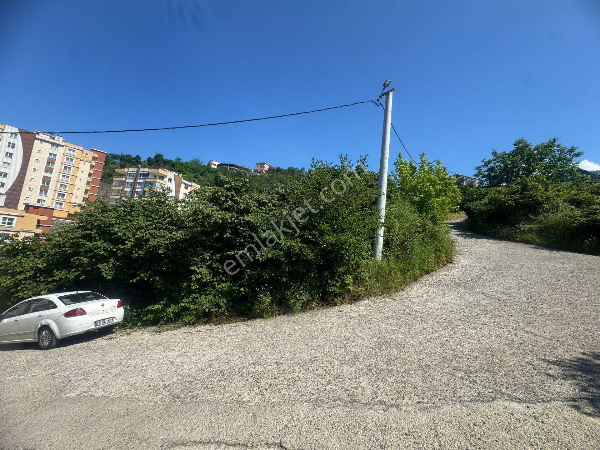 İnanç Emlaktan Giresun Kavaklarda Satılık 562 M2 İmarlı Köşe Arsa - Görsel 7