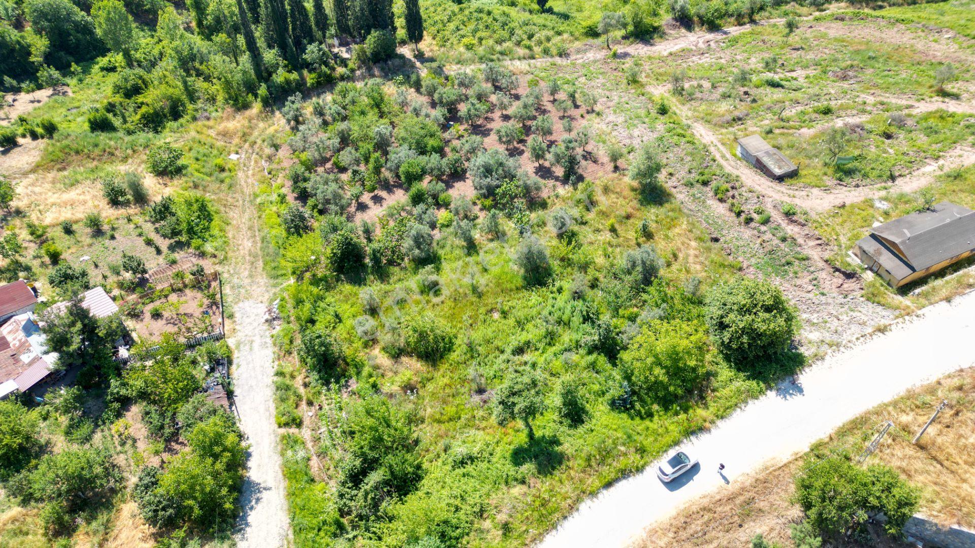 Karamürsel Zeytinli Koru Mevkii Satılık 470 M2 Konut İmarlı Arsa - Görsel 3