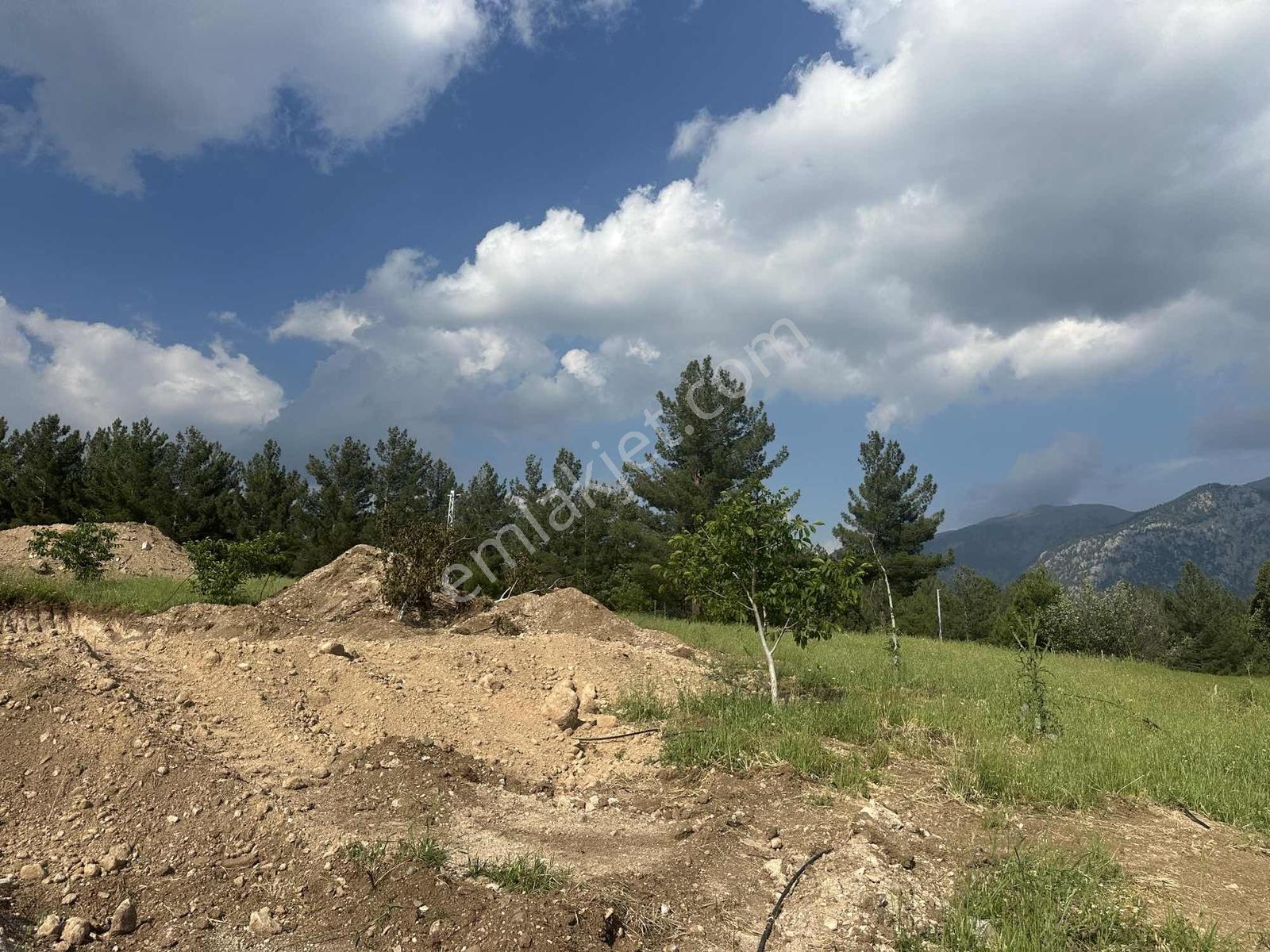 Selçuk Emlaktan Alpu Yaylasında Anayola Yakın İmarlı Sat.arsa - Görsel 4