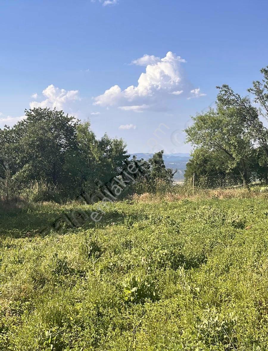 Banaz Kavacık Köyünde 5238m2 Tarla İçinde 2katlı Ev - Görsel 28