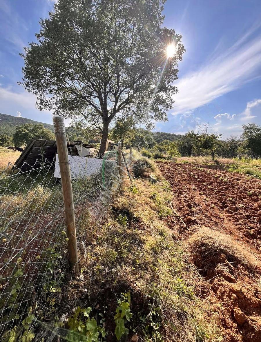 Banaz Kavacık Köyünde 5238m2 Tarla İçinde 2katlı Ev - Görsel 18