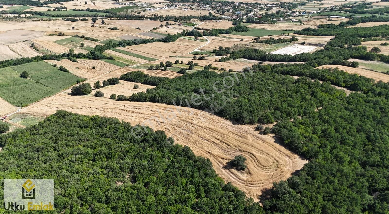 Babaeski Çavuşköy De 9513 M2 Köye Yakın Satılık Tarla - Görsel 6