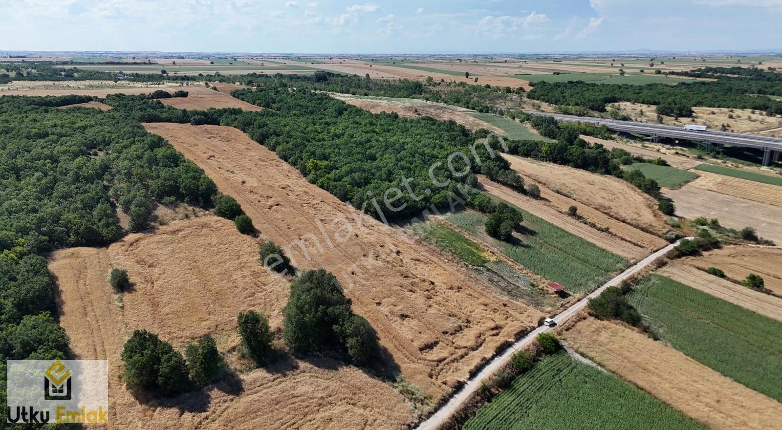 Babaeski Çavuşköy De 9513 M2 Köye Yakın Satılık Tarla - Görsel 4