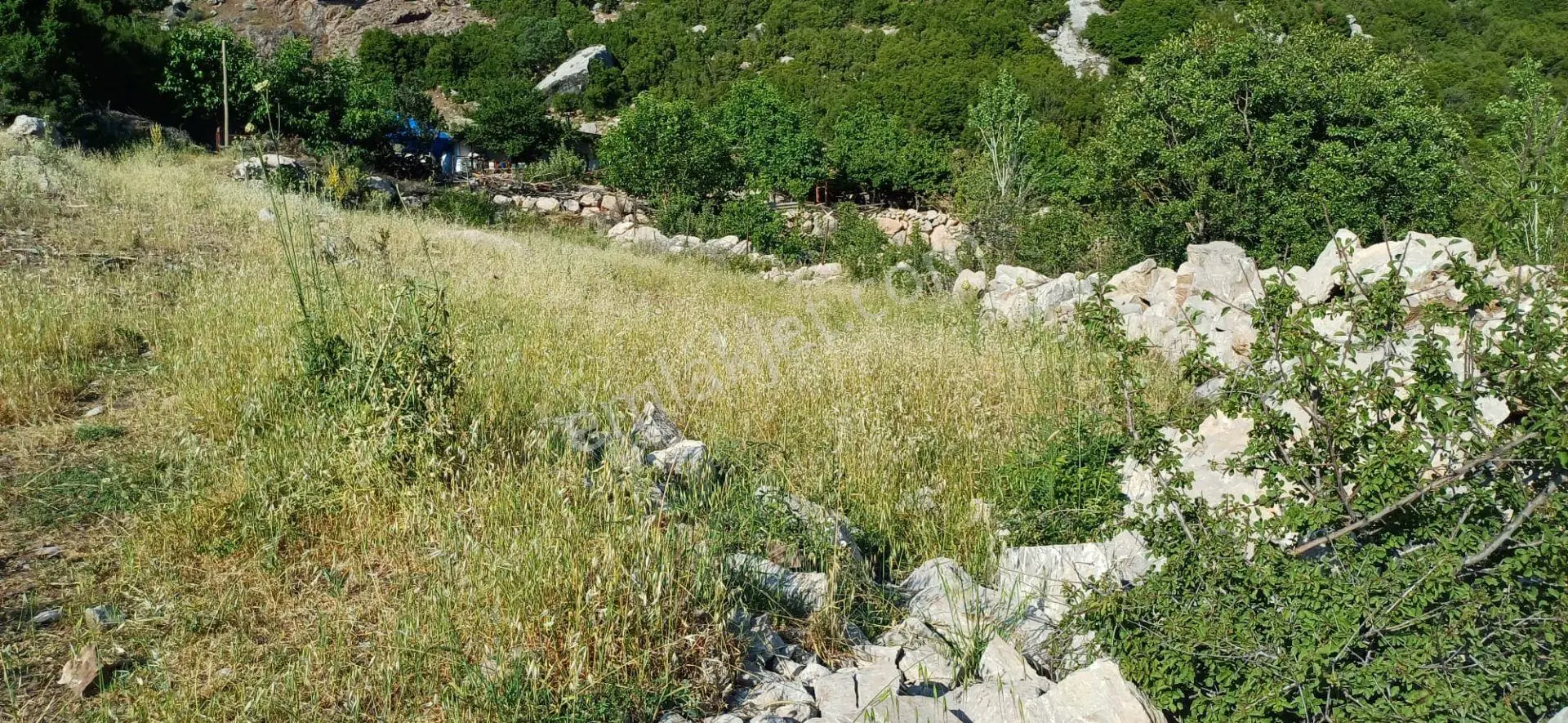 Goldhouse Dan Satılık Seydikemer Çökek Mah.de Yola Cephe Kargir Ev Ve Tarla - Görsel 5