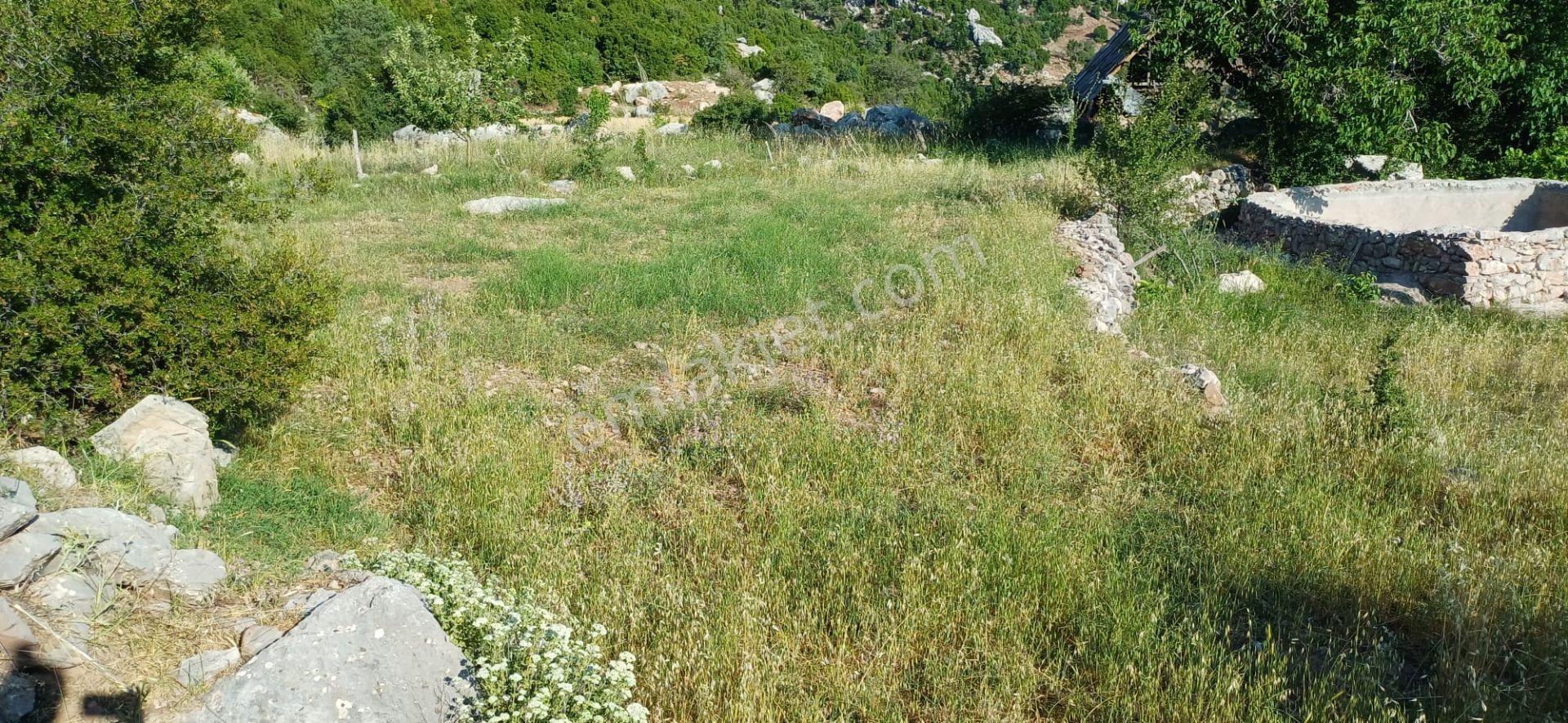 Goldhouse Dan Satılık Seydikemer Çökek Mah.de Yola Cephe Kargir Ev Ve Tarla - Görsel 3