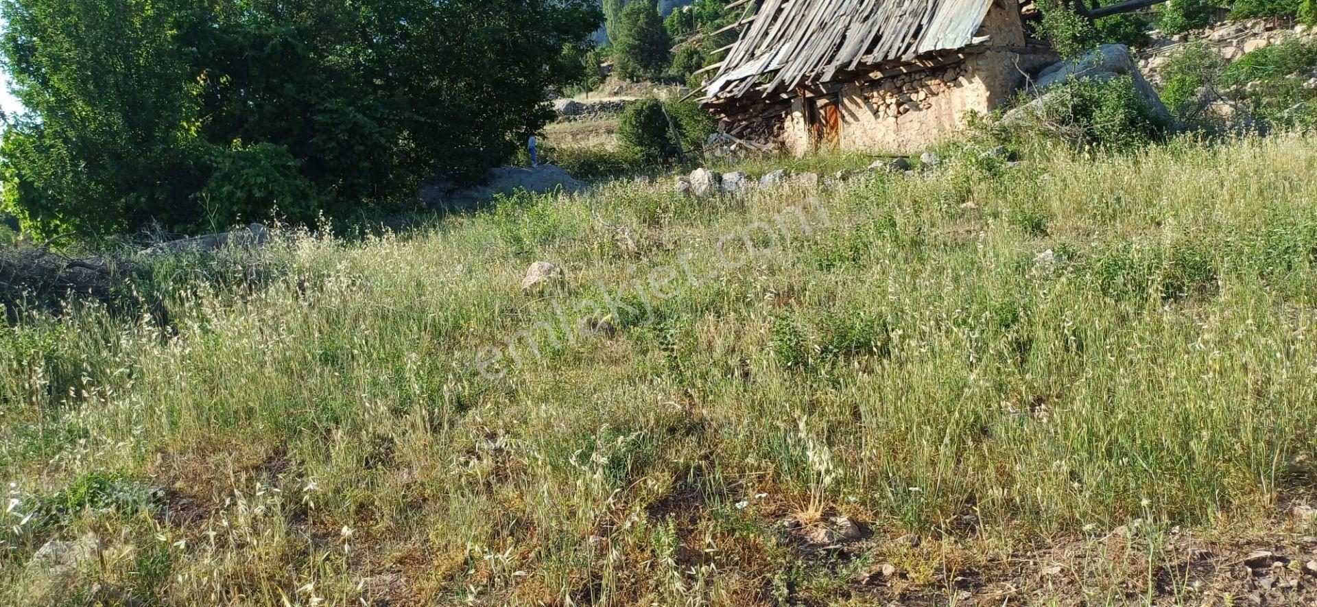 Goldhouse Dan Satılık Seydikemer Çökek Mah.de Yola Cephe Kargir Ev Ve Tarla - Görsel 8