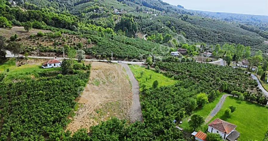 Invest Globalden Hendek Karaçökekte 1984 M² Yatırımlık Arsa - Görsel 3