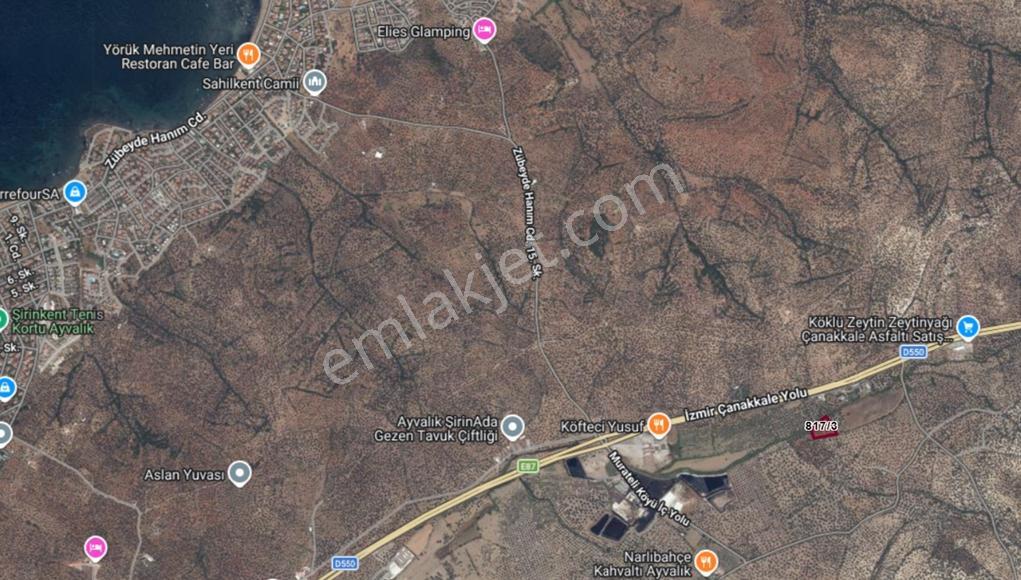 Route 10'dan Ayvalık'ta Mükemmel Konumda Satılık Zeytinlik - Görsel 2