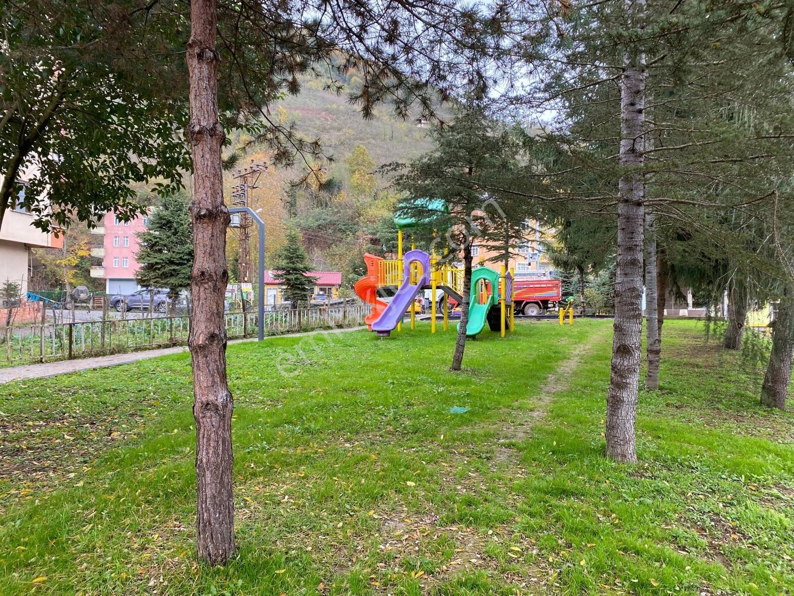 Ordu Perşembe Yüksek Gelirli Altyapılı Müstakil Fındık Bahçesi - Görsel 5