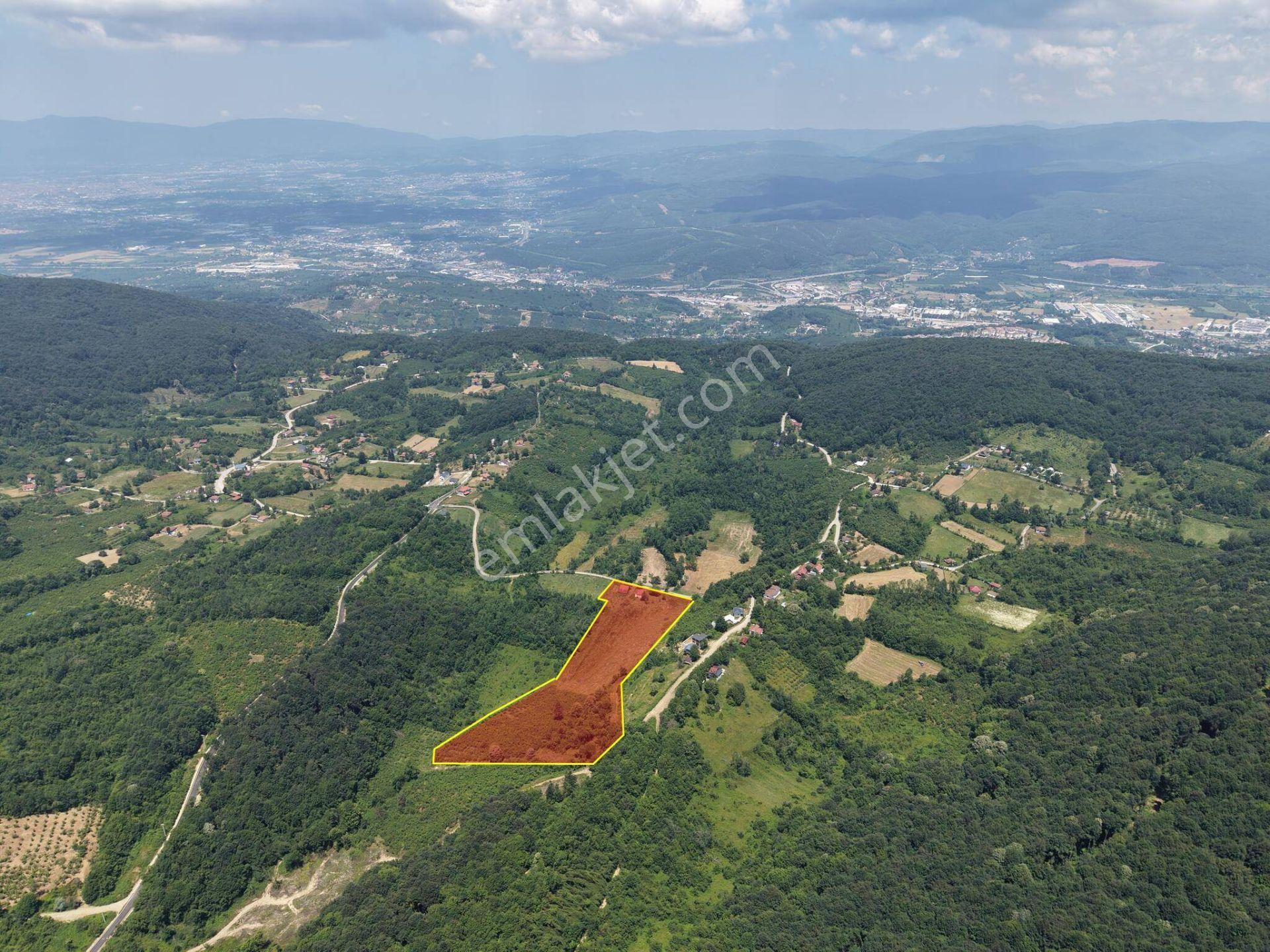 Kaynaşlı Sazköy'de 29772 M2 Satılık Arazi - Görsel 32