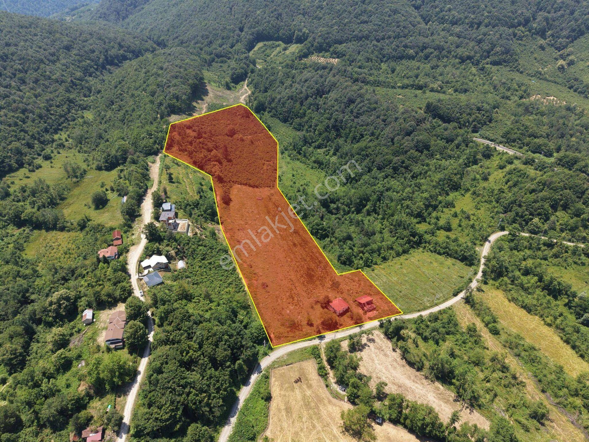 Kaynaşlı Sazköy'de 29772 M2 Satılık Arazi - Görsel 18