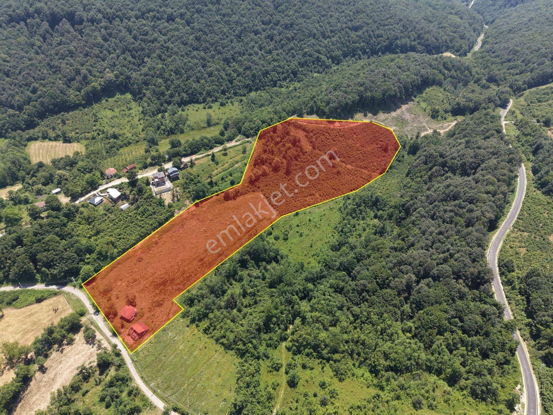 Kaynaşlı Sazköy'de 29772 M2 Satılık Arazi - Görsel 3