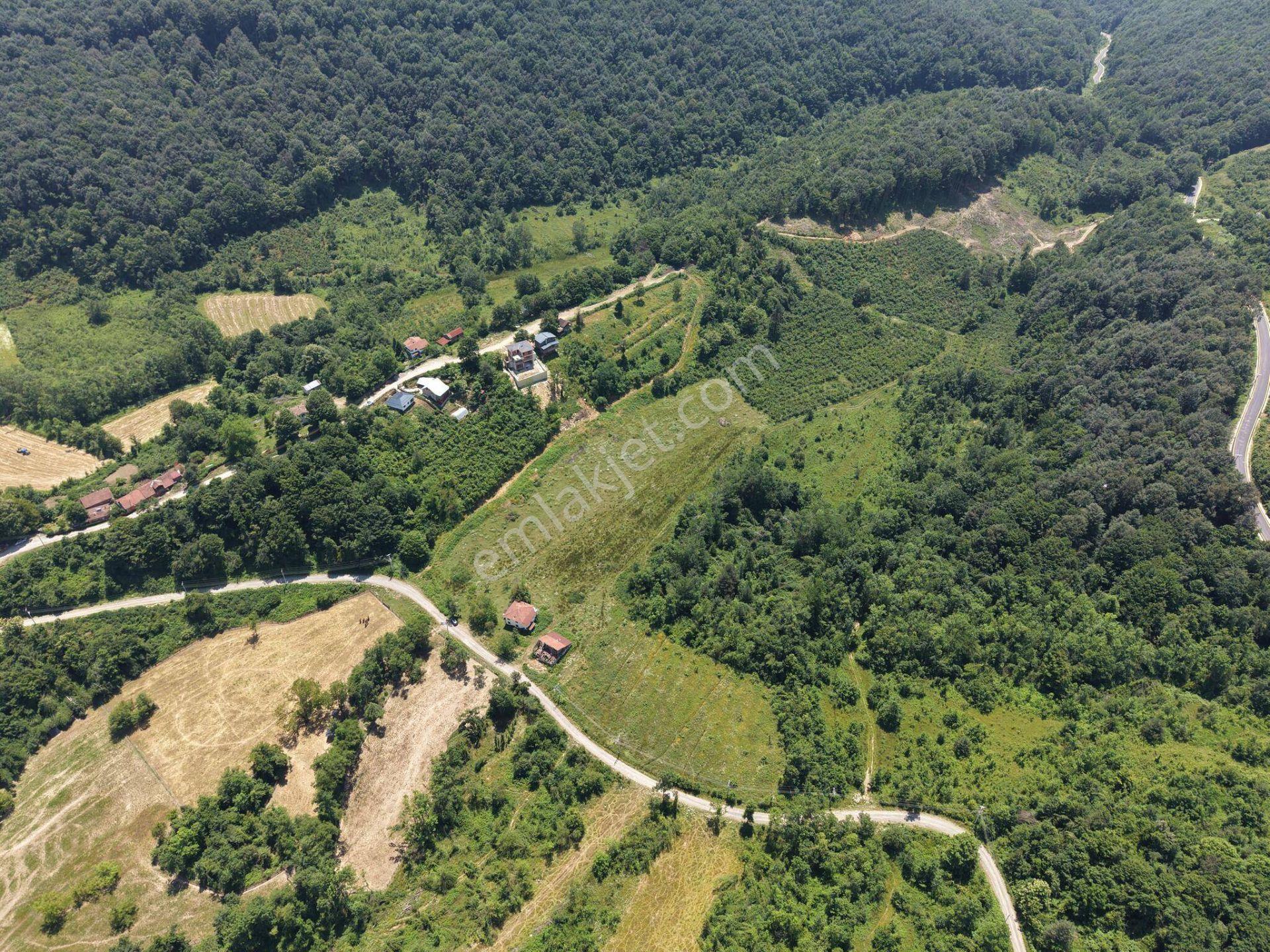 Kaynaşlı Sazköy'de 29772 M2 Satılık Arazi - Görsel 19