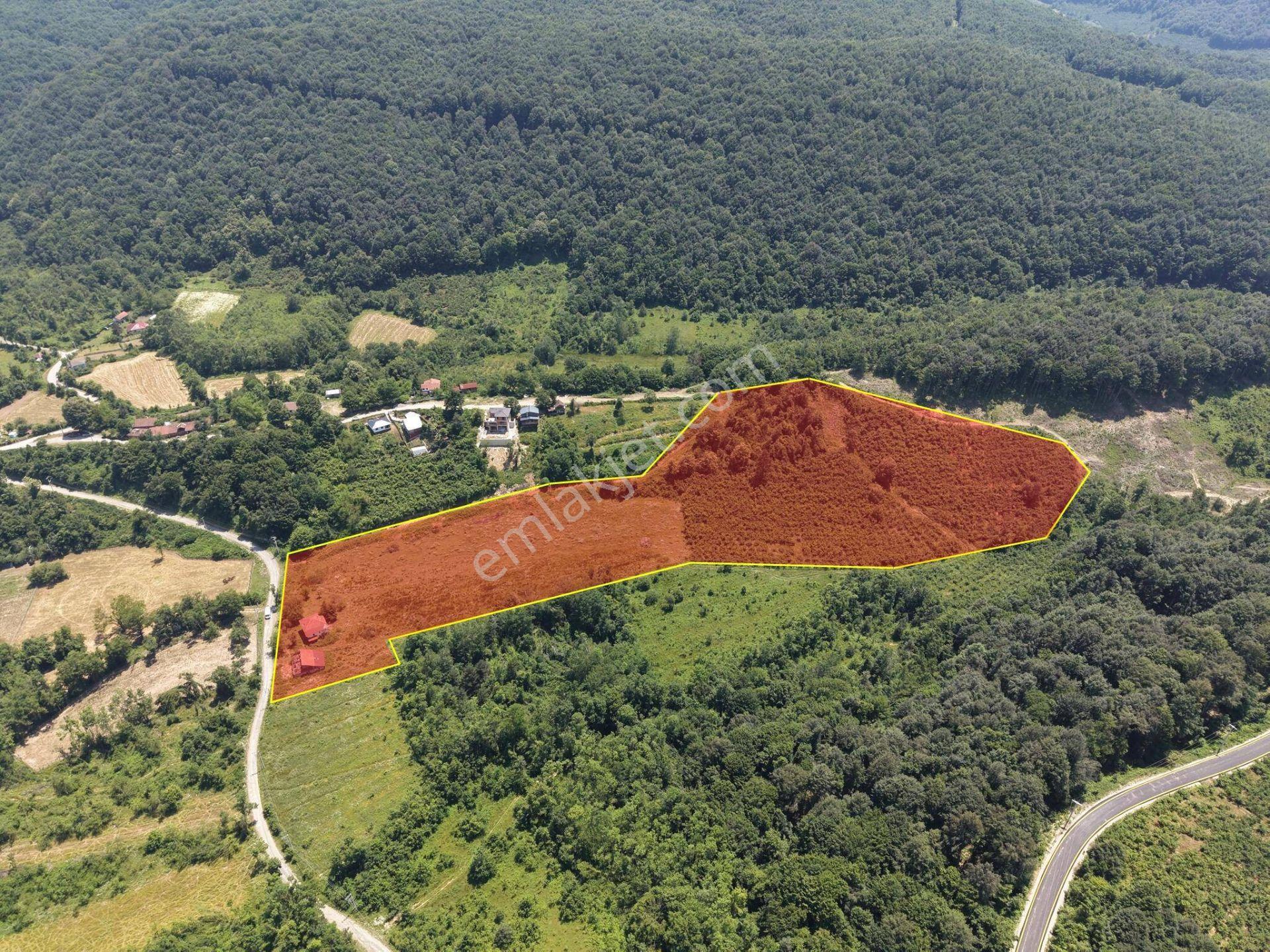 Kaynaşlı Sazköy'de 29772 M2 Satılık Arazi - Görsel 5