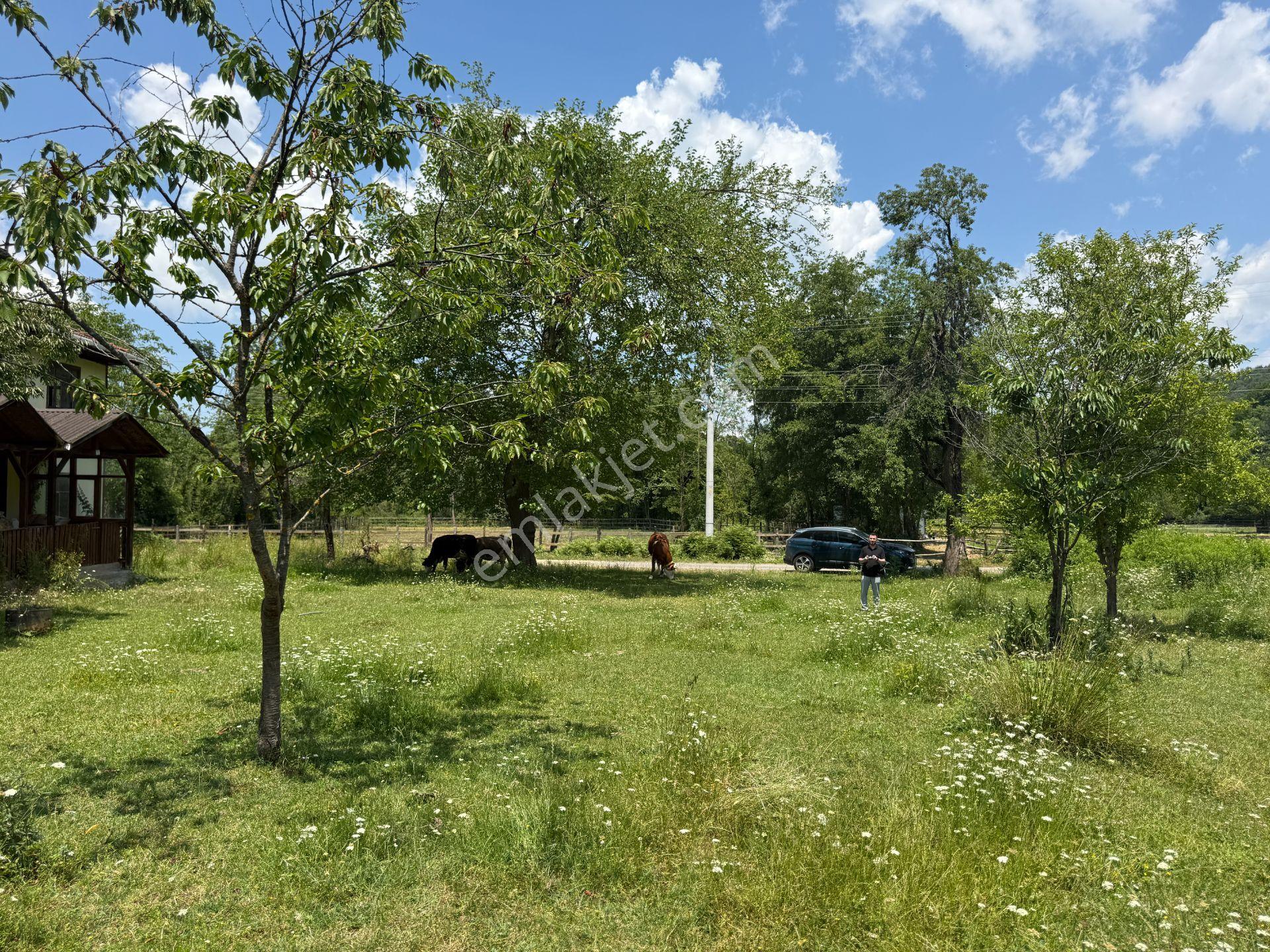 Kaynaşlı Sazköy'de 29772 M2 Satılık Arazi - Görsel 30