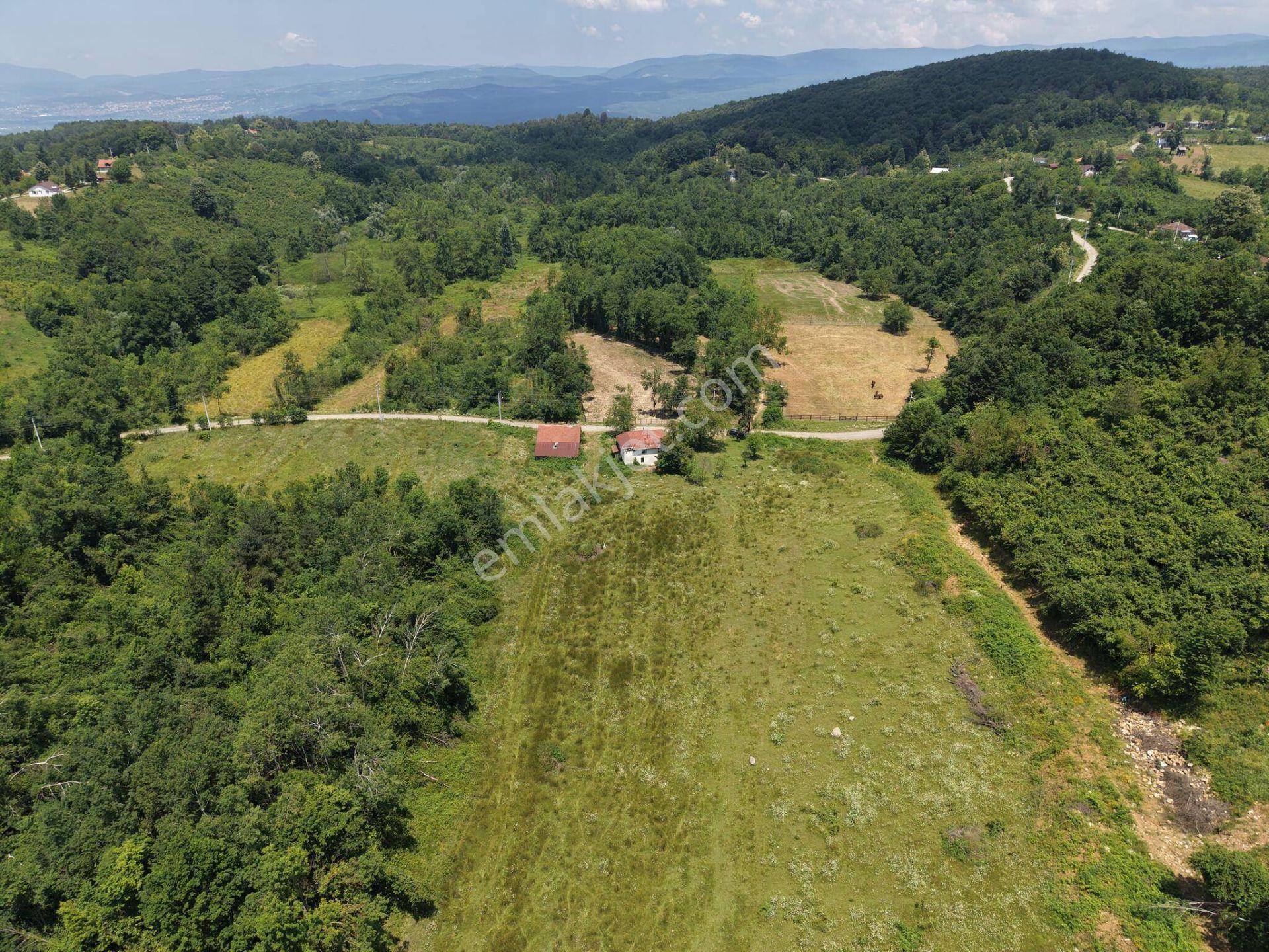Kaynaşlı Sazköy'de 29772 M2 Satılık Arazi - Görsel 16
