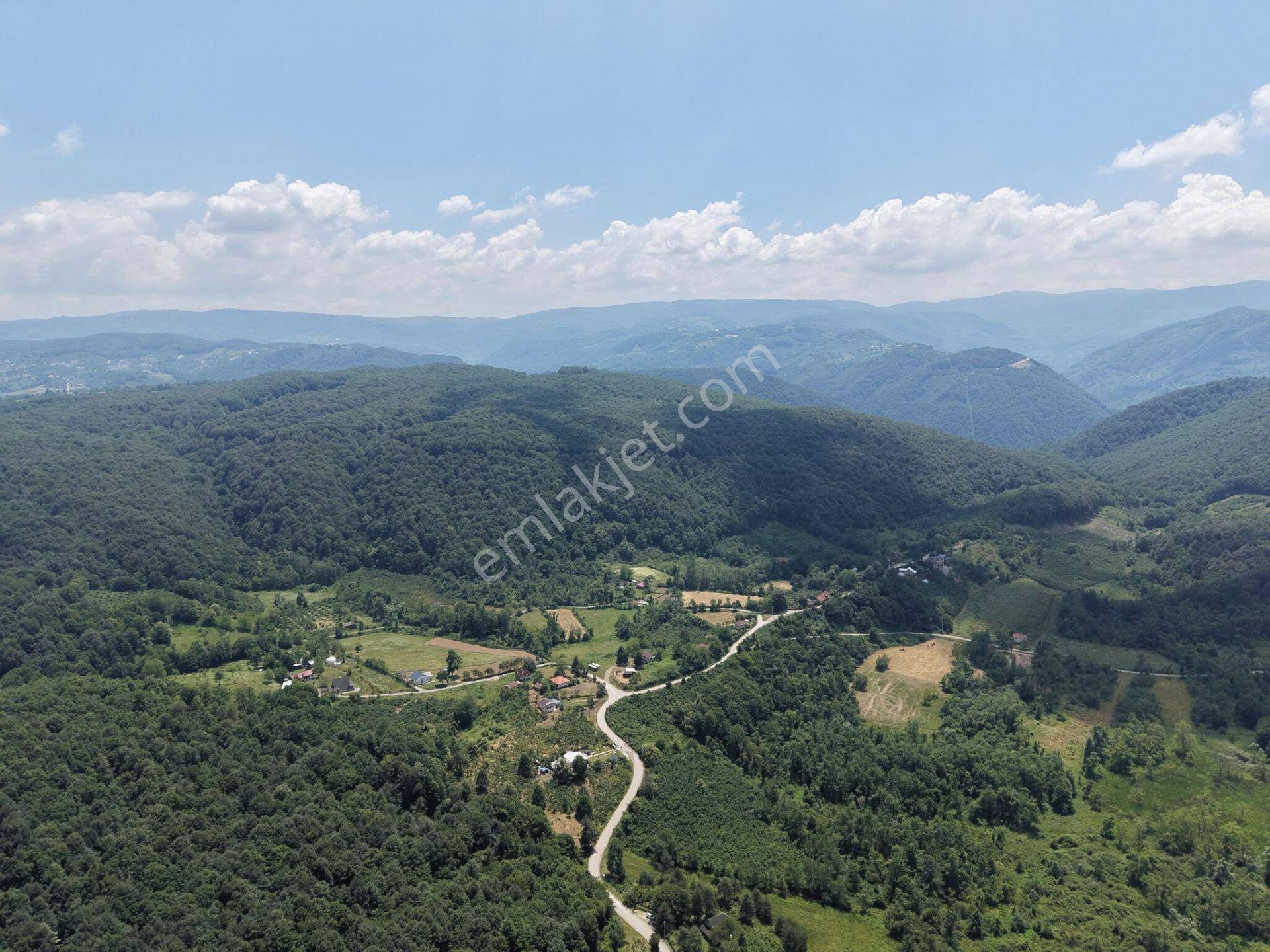 Kaynaşlı Sazköy'de 29772 M2 Satılık Arazi - Görsel 34