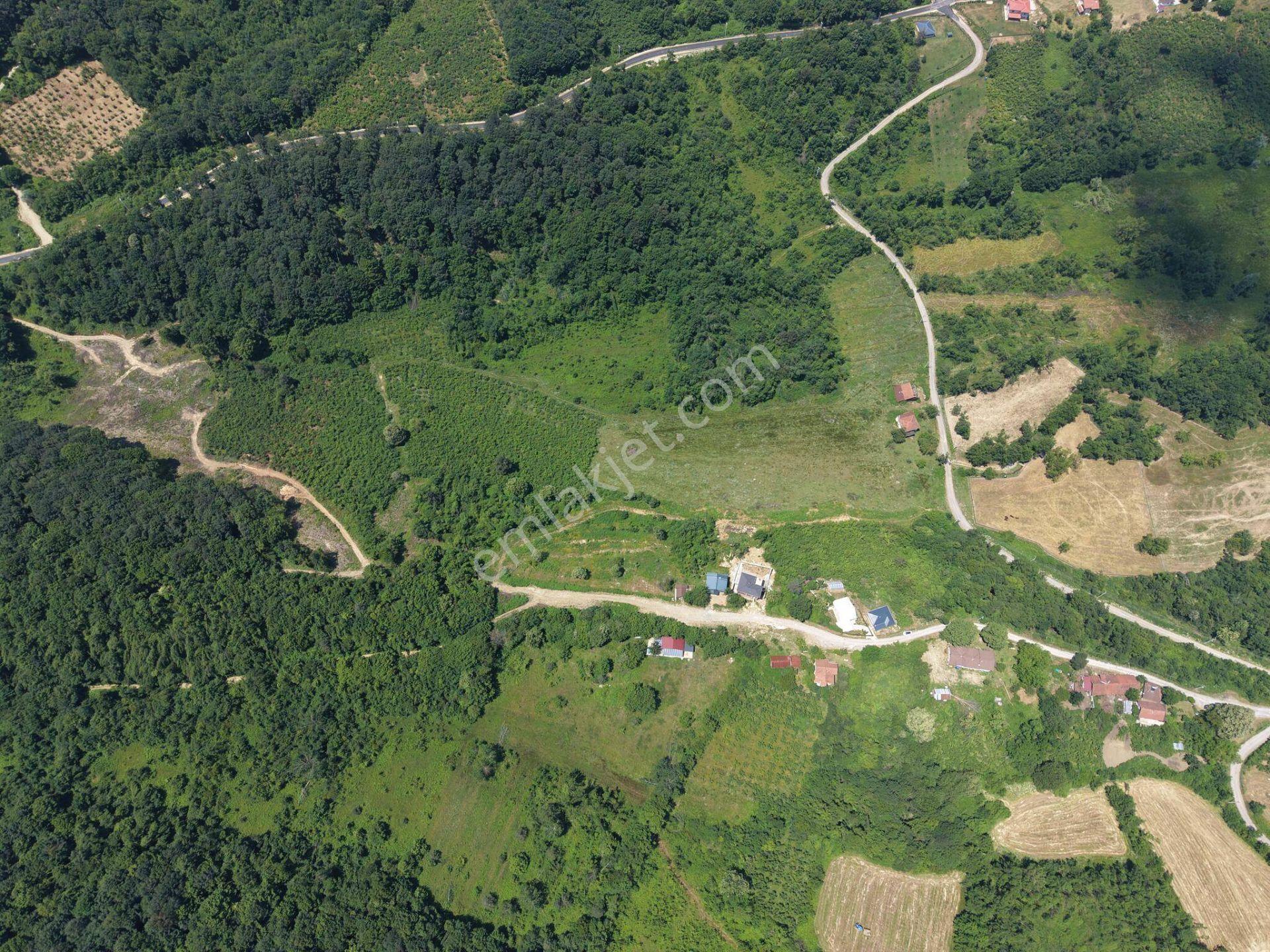 Kaynaşlı Sazköy'de 29772 M2 Satılık Arazi - Görsel 33