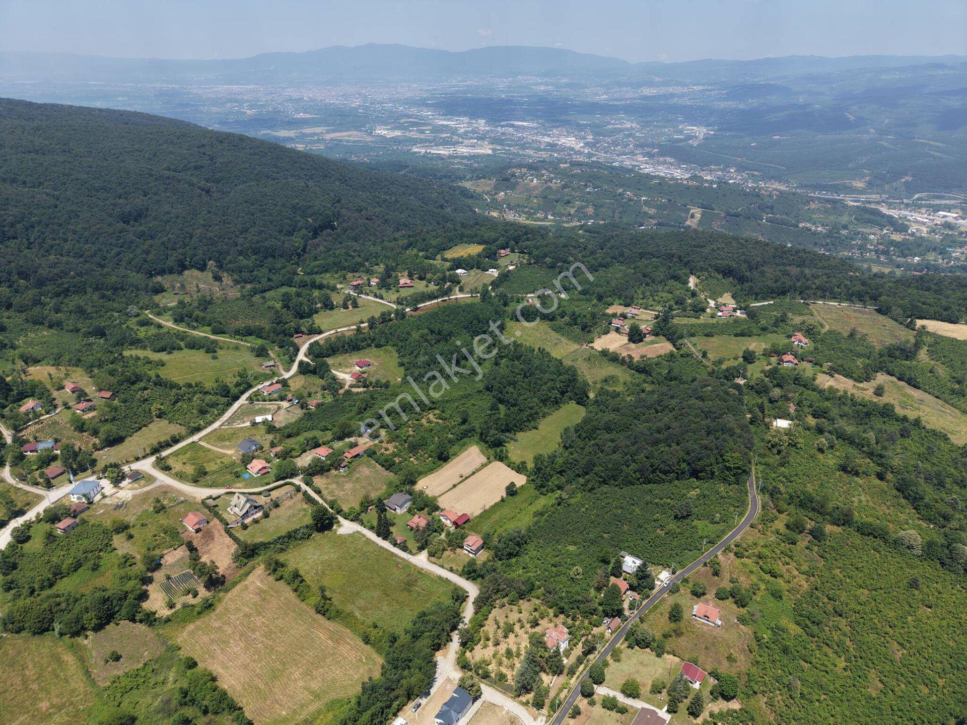 Kaynaşlı Sazköy'de 29772 M2 Satılık Arazi - Görsel 4