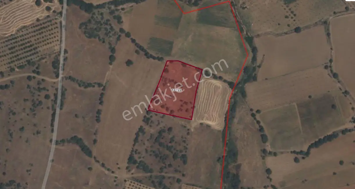 Manisa Köprübaşı Alanyolu'nda 5500 M² Satılık Tarla