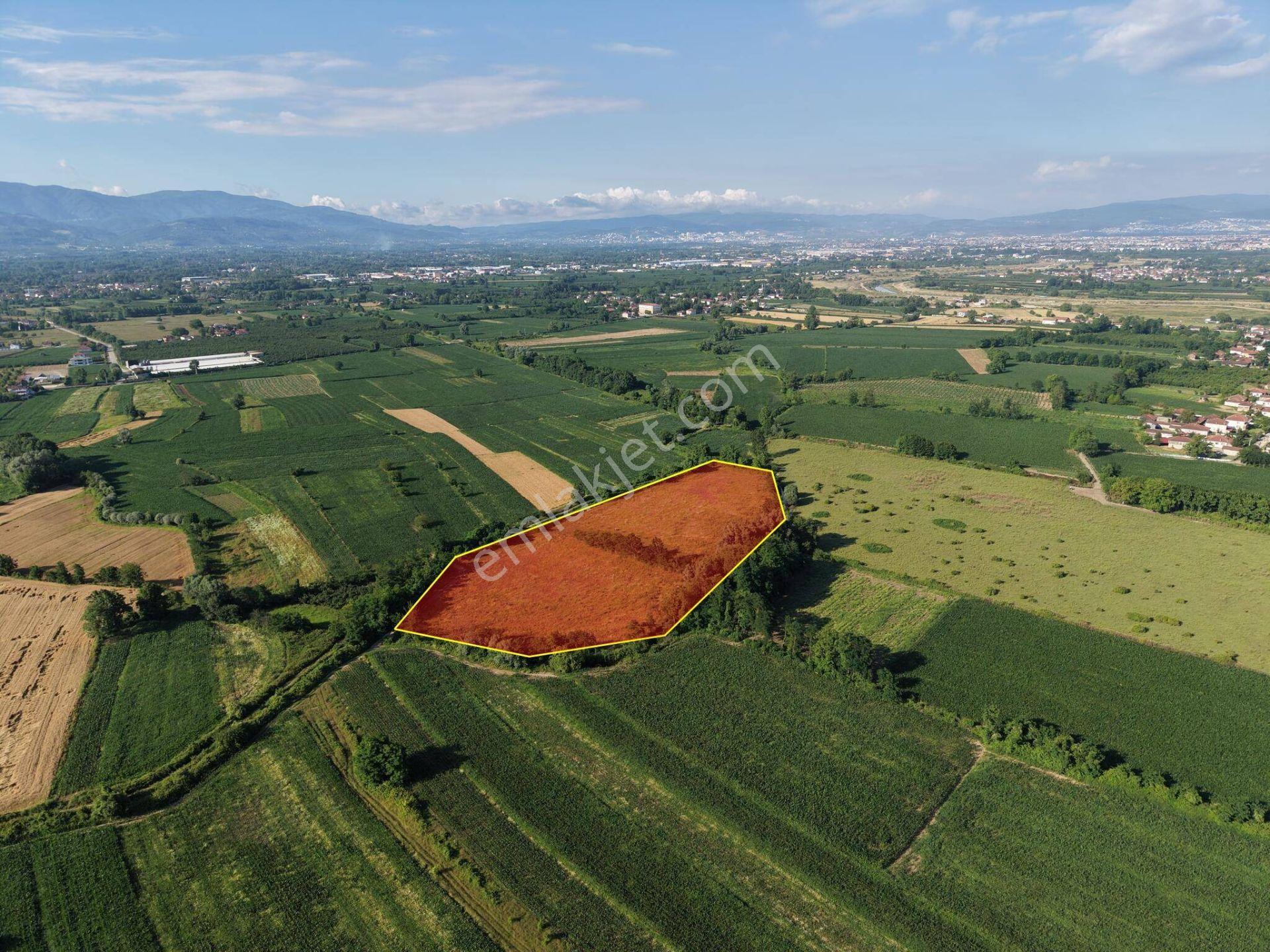 Nv Gayrimenkul | İstilli Köyü'nde 19700 M2 Satılık Arazi - Görsel 19