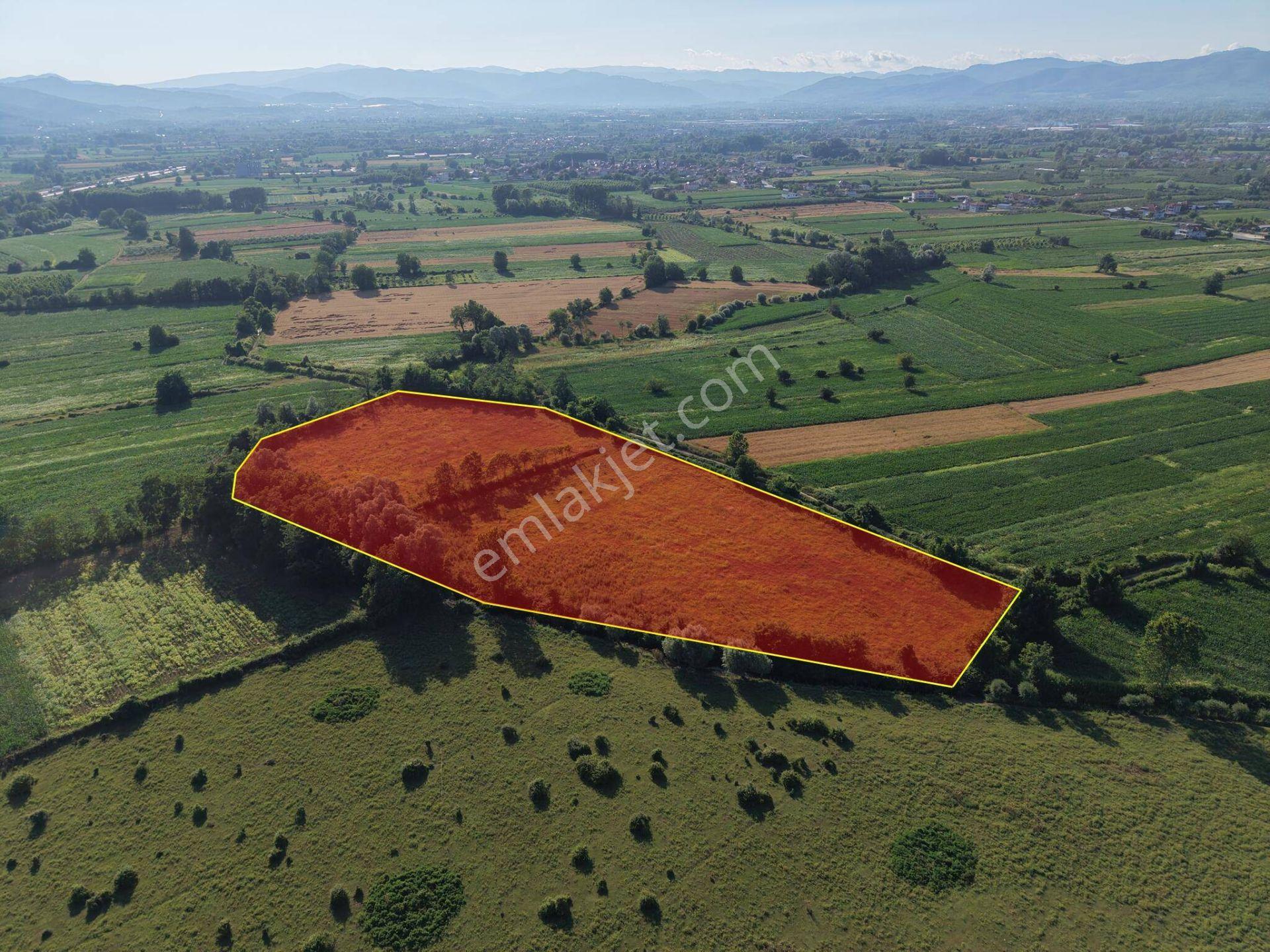 Nv Gayrimenkul | İstilli Köyü'nde 19700 M2 Satılık Arazi