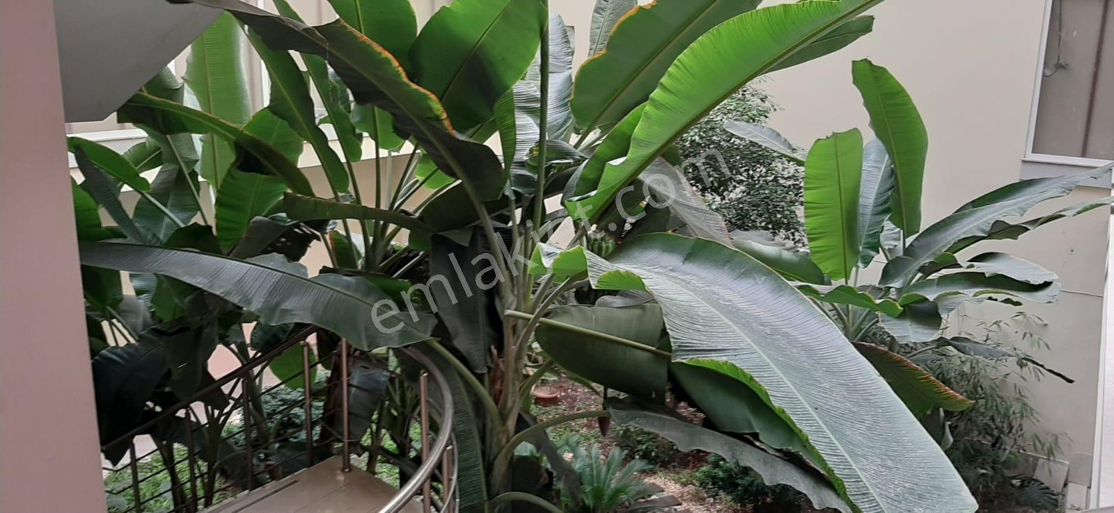 Kuşadası Otogar Arkası Havuzlu Asansörlü 2+1 Geniş Kiralık Daire - Görsel 13