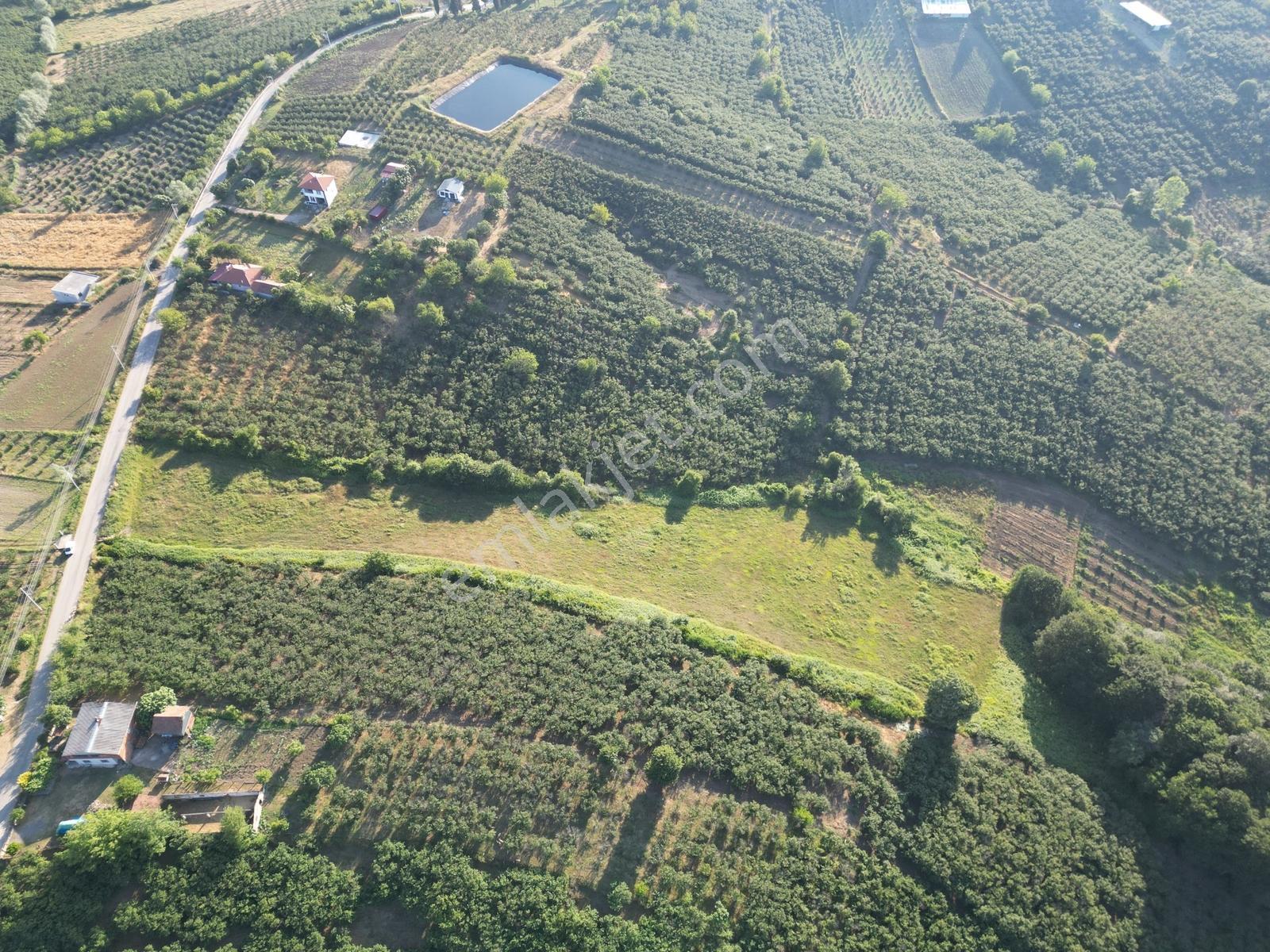 Sakarya Ferizli Nalköy İmarlı Asfalt Yanı 3317 M² Satılık Arsa - Görsel 14