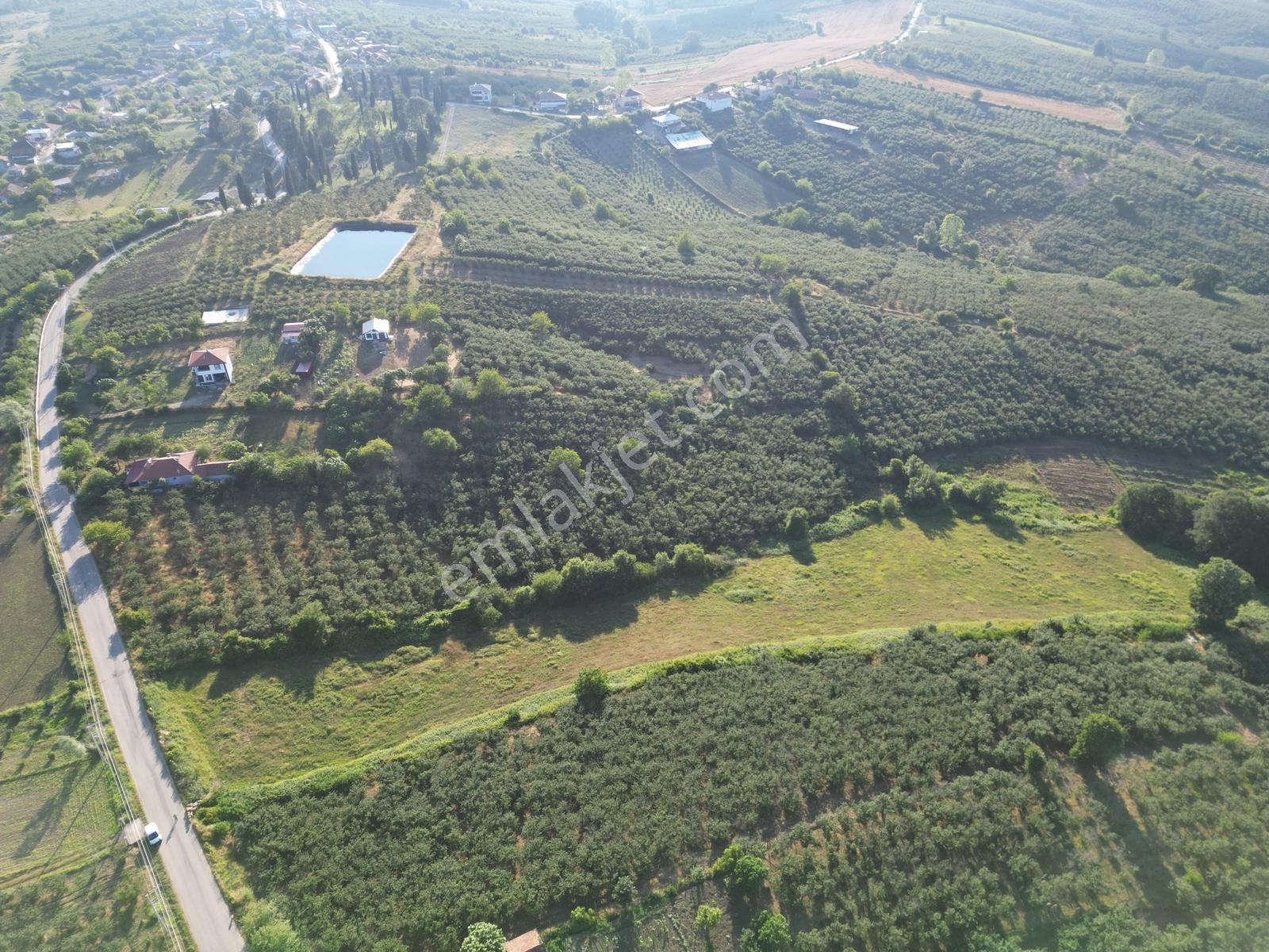 Sakarya Ferizli Nalköy İmarlı Asfalt Yanı 3317 M² Satılık Arsa - Görsel 13