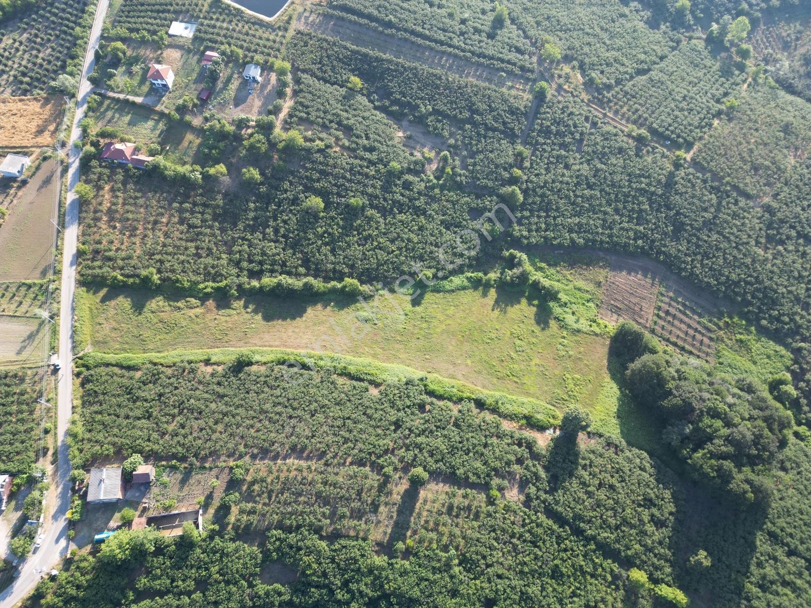 Sakarya Ferizli Nalköy İmarlı Asfalt Yanı 3317 M² Satılık Arsa - Görsel 16