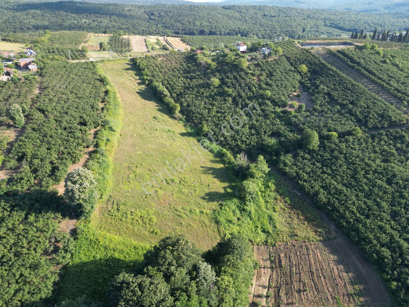 Sakarya Ferizli Nalköy İmarlı Asfalt Yanı 3317 M² Satılık Arsa - Görsel 2