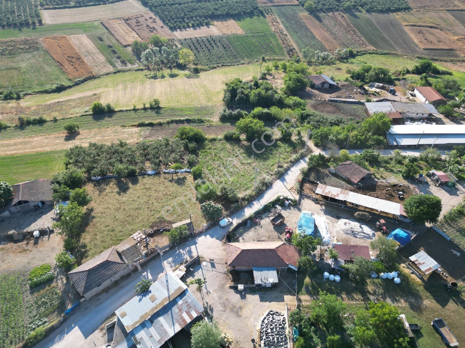 Sakarya Kaynarca Ömerağa'da Köy İçi İmar, Ev Yapımına Uygun Arsa - Görsel 2