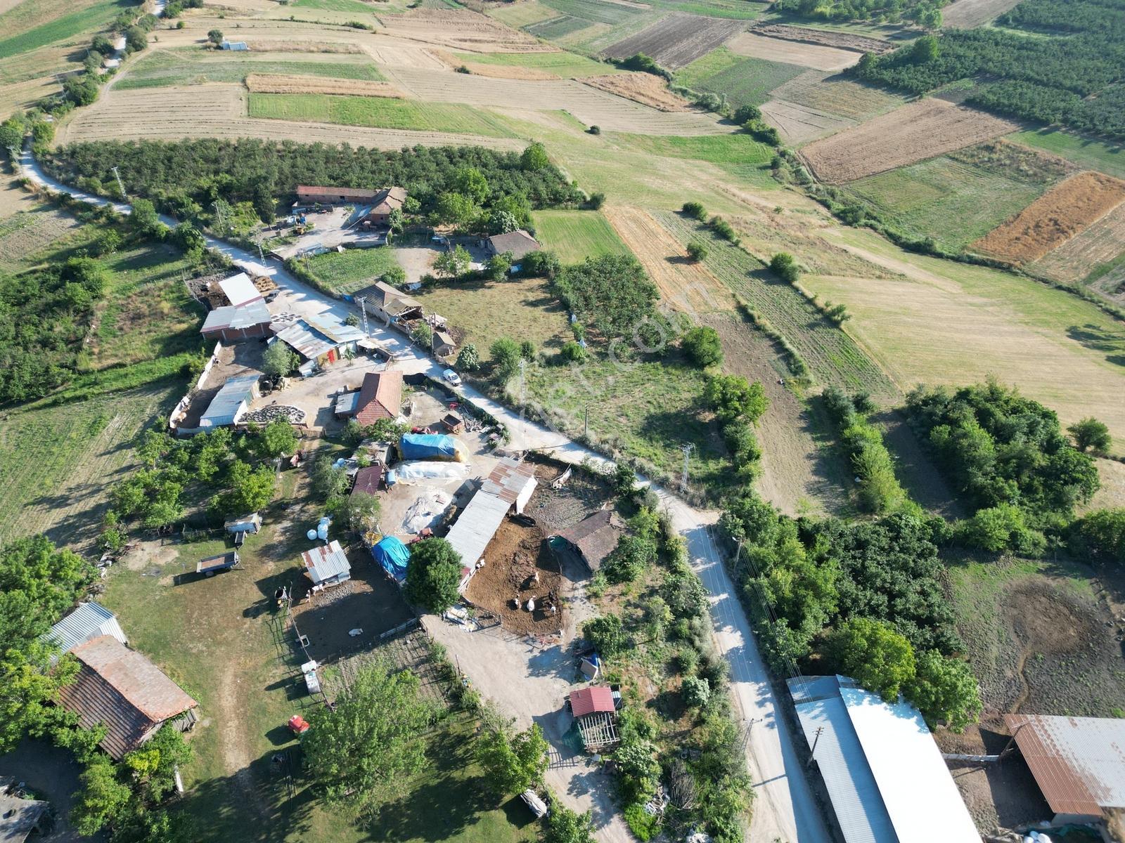 Sakarya Kaynarca Ömerağa'da Köy İçi İmar, Ev Yapımına Uygun Arsa - Görsel 6