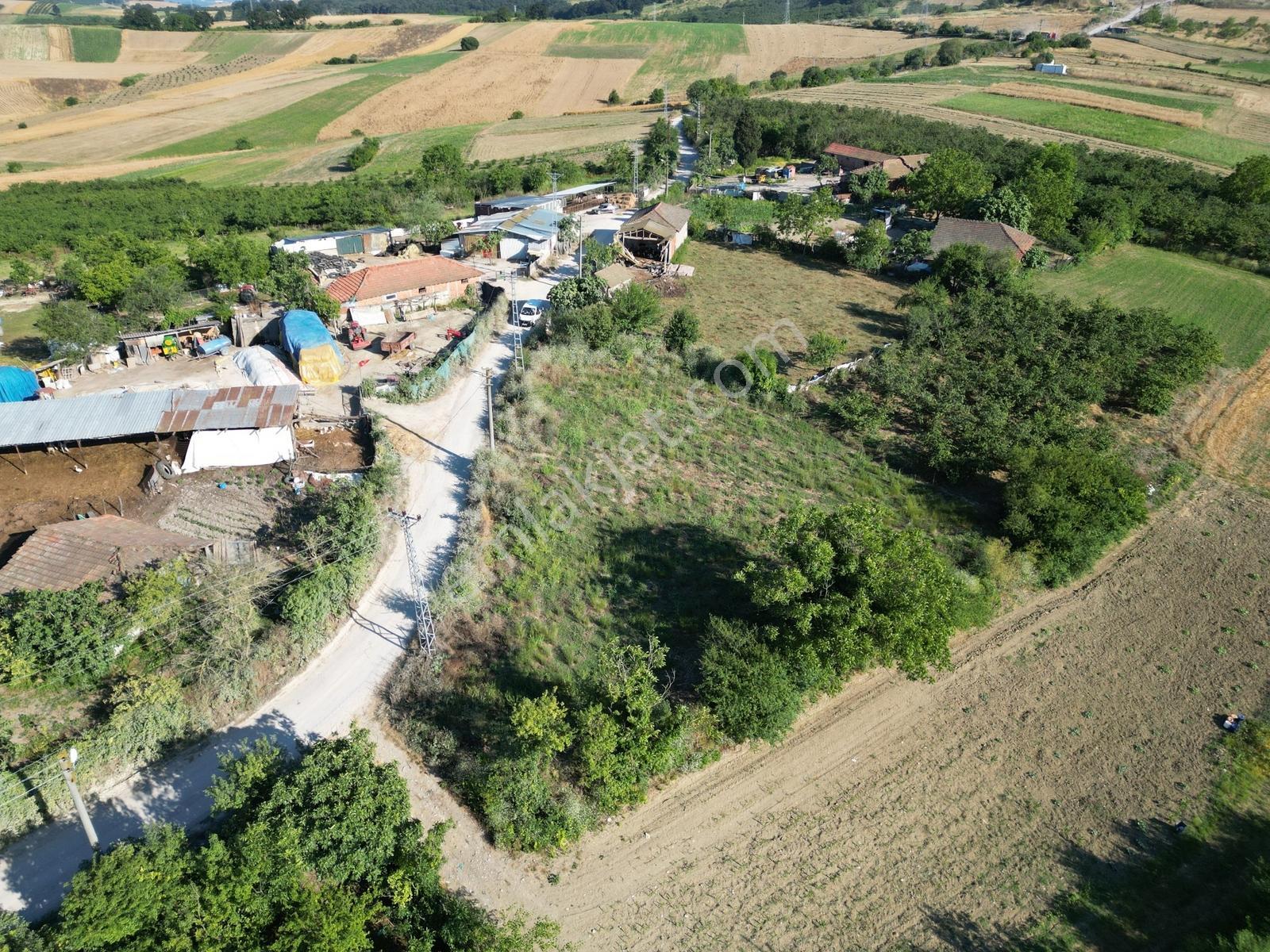 Sakarya Kaynarca Ömerağa'da Köy İçi İmar, Ev Yapımına Uygun Arsa - Görsel 15