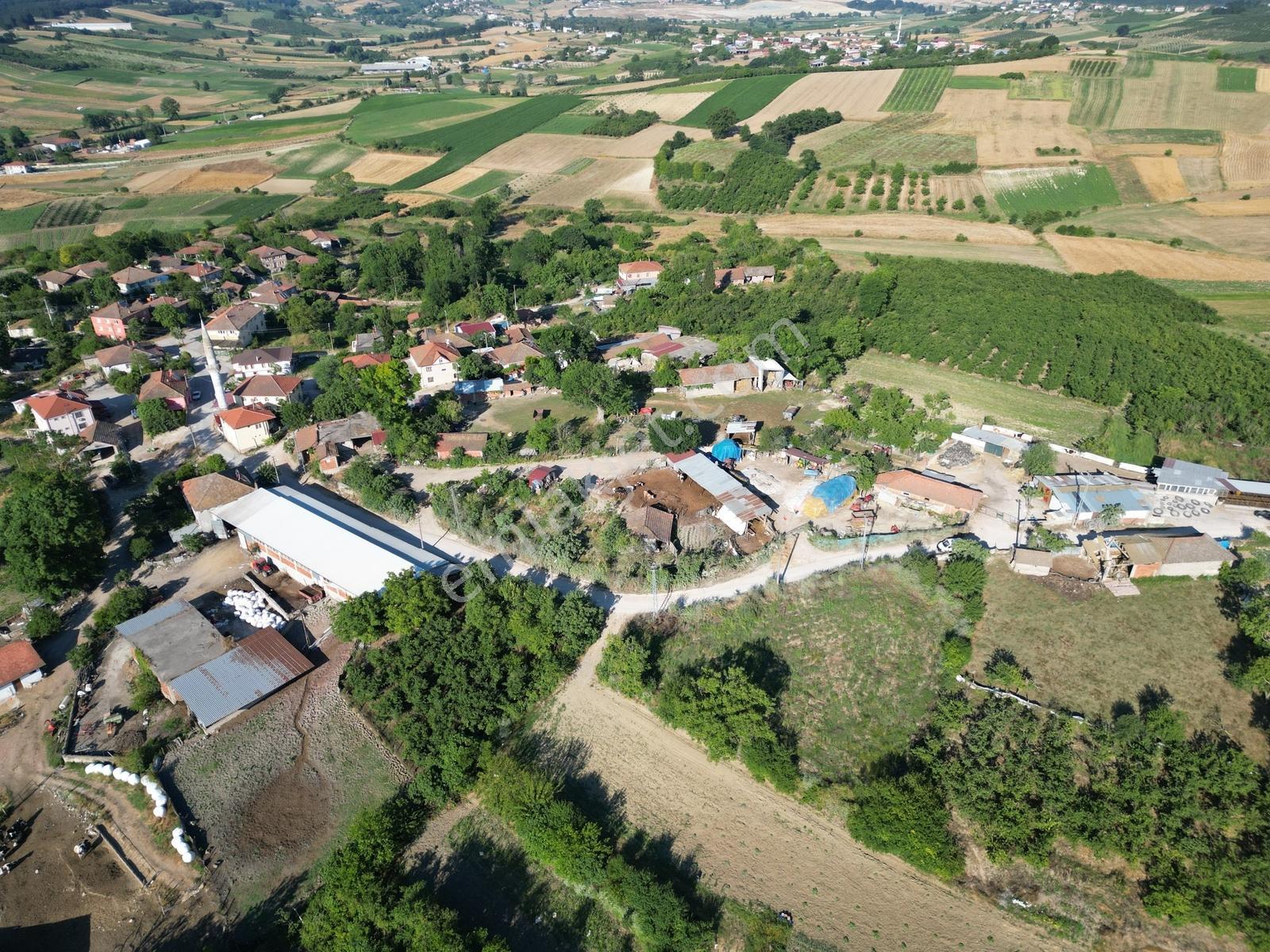Sakarya Kaynarca Ömerağa'da Köy İçi İmar, Ev Yapımına Uygun Arsa - Görsel 22